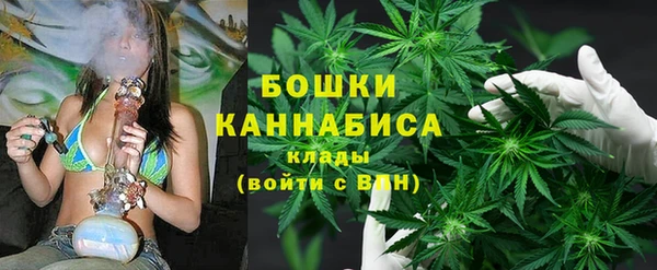ALPHA PVP Протвино
