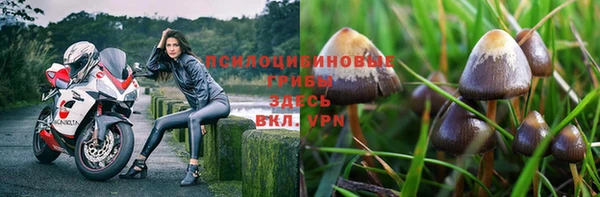 спиды Вязьма