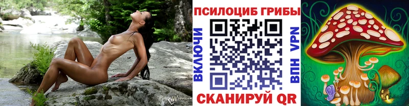 Галлюциногенные грибы ЛСД Верхний Тагил